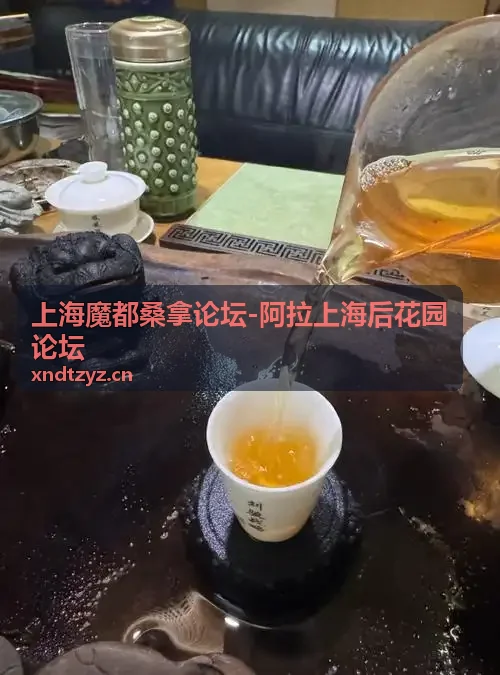 上海魔都桑拿论坛 魔都夜生活新去处